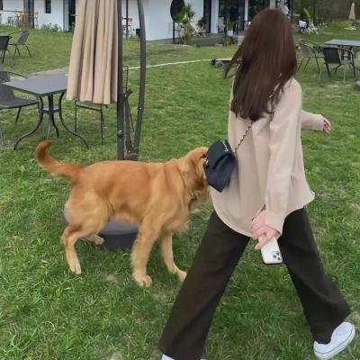 俗女养成记闽南语版